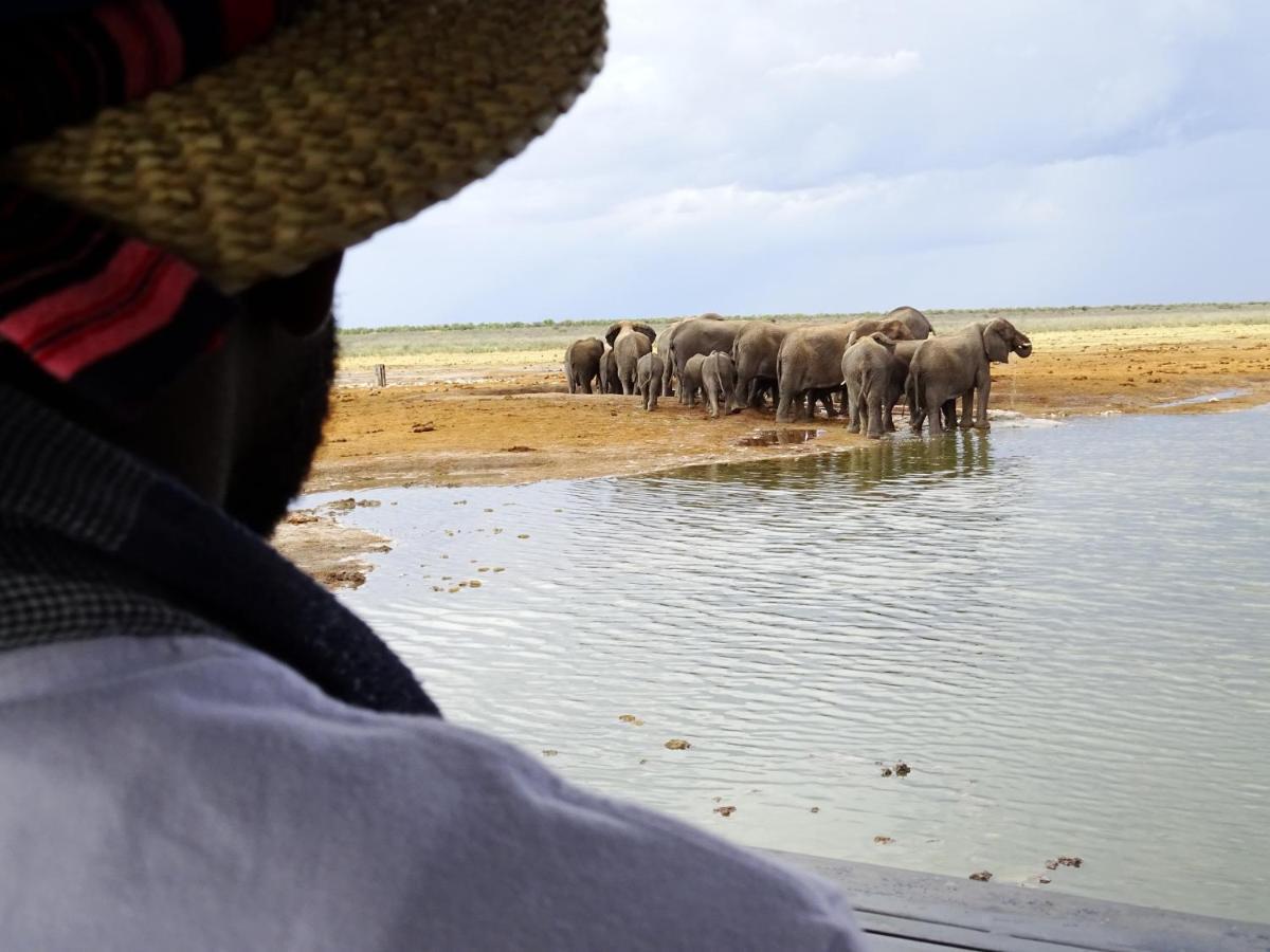 Вилла Etosha King Nehale Omuthiya Экстерьер фото